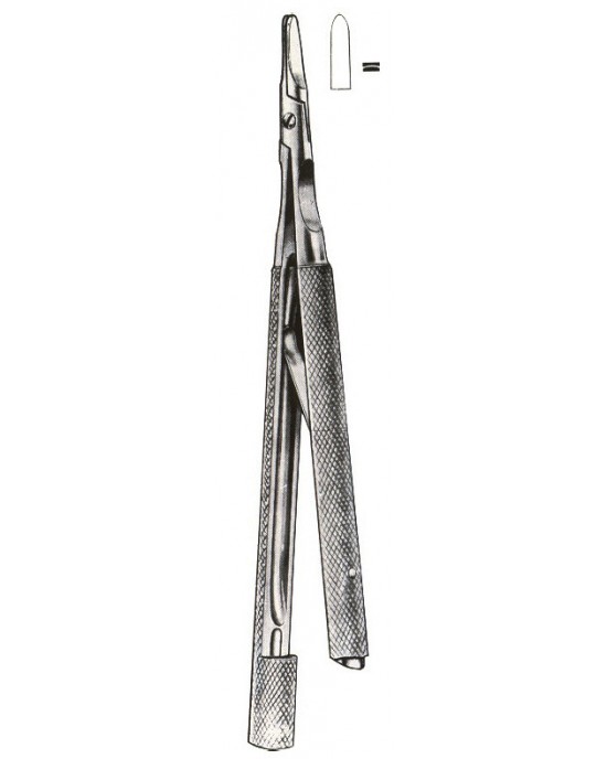 SS- 01-1037-13
