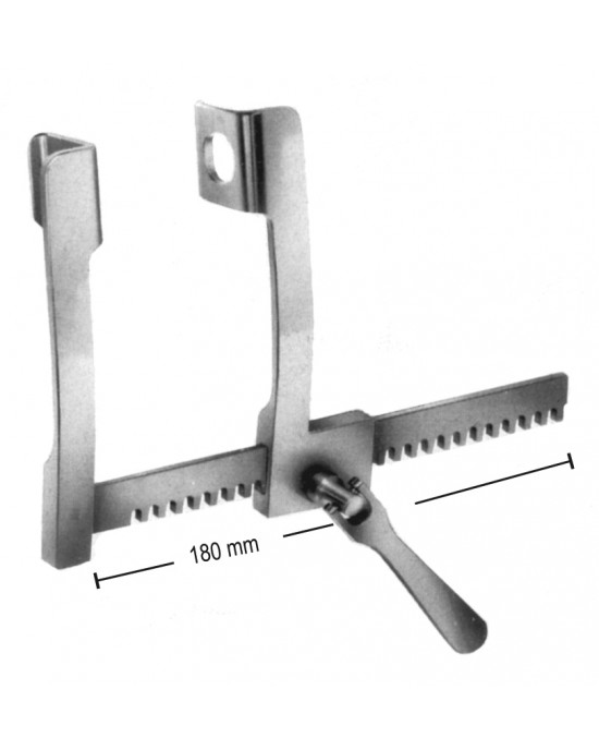 SS- 19-5667-01