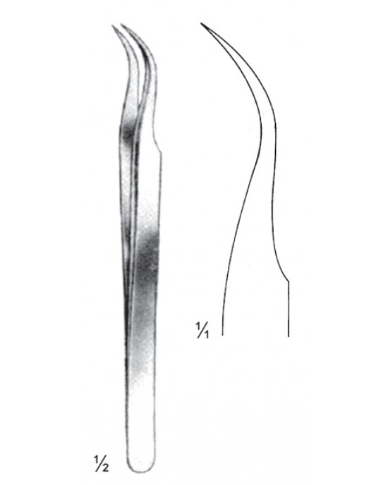 SS- 08-2146-11