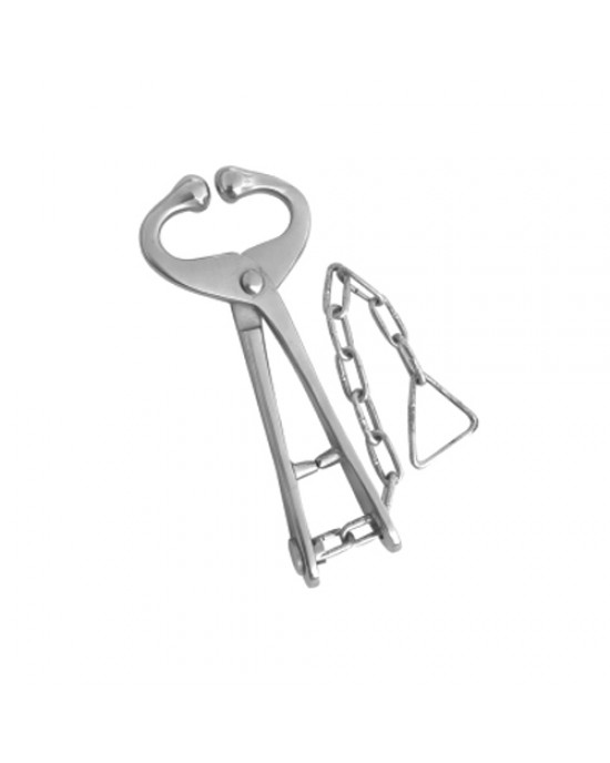 Bull Holder With ChAMn