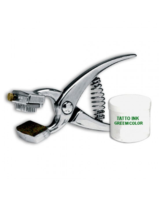 Pet. Pig Tatoo Outfit